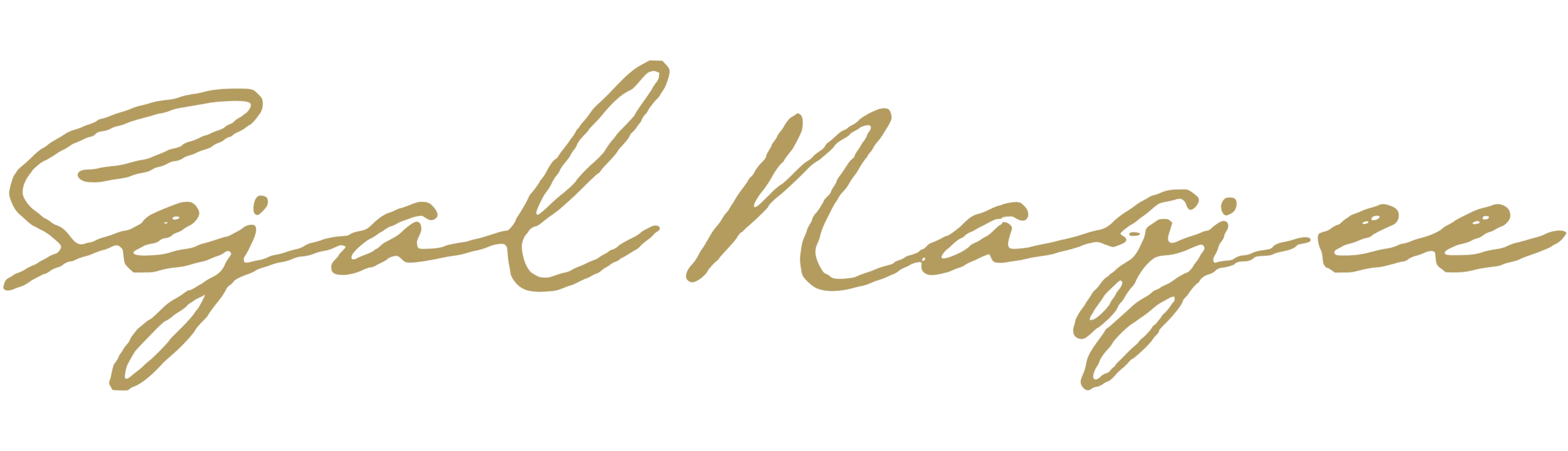 S2_Sejal Signature_png